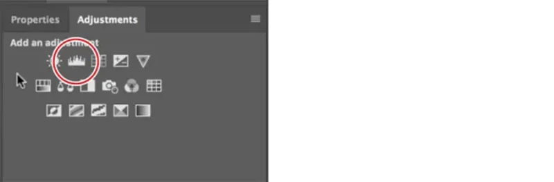 The Levels Adjustment lets you change the lightest tones, darkest tones and mid tones.