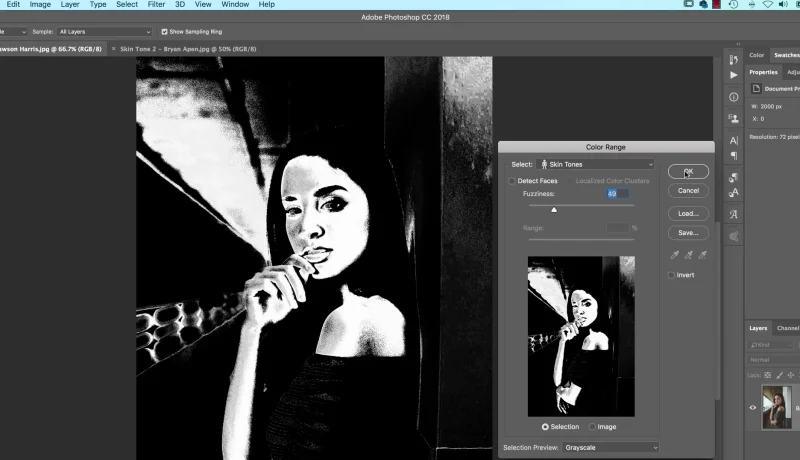 For a larger view of your selection change ‘Selection Preview’ to Grayscale to preview your selection on your image.