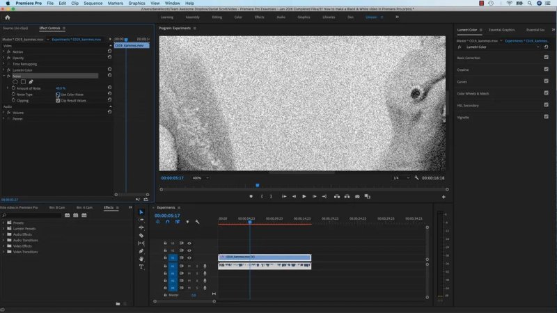 Premiere Pro workspace zoomed in to 400% on a black-and-white video frame, adjusting the Noise effect settings in the Effect Controls panel.