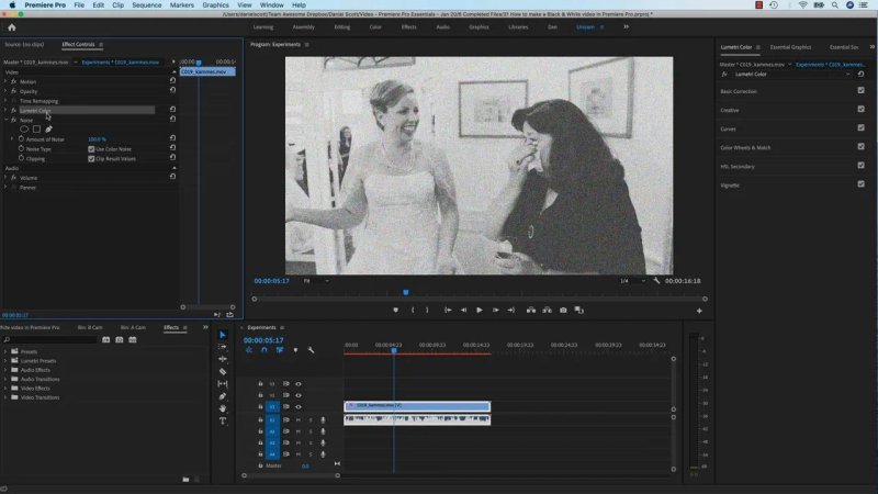 Premiere Pro Program Monitor displaying a black-and-white clip of two women laughing, with 100% Noise effect applied via the Effect Controls panel.