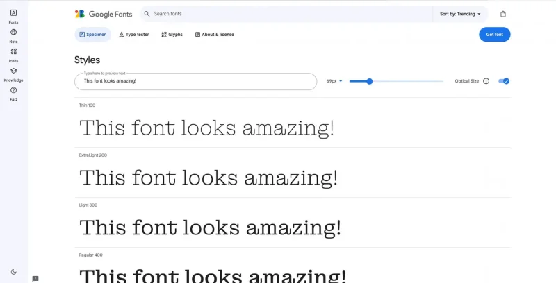 A screenshot from google fonts showing the ability to preview a font using your own text.