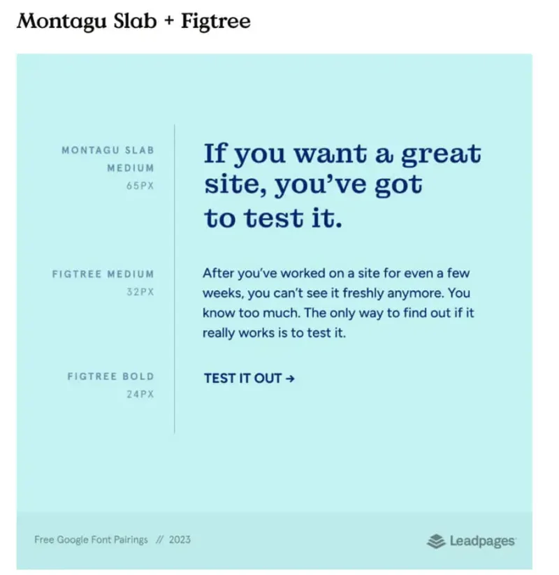 a screenshot of a font pairing example from leadpages.com