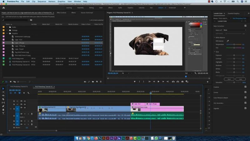 Premiere Pro timeline showing a logo watermark overlay placed above a pug video clip in the Program Monitor.