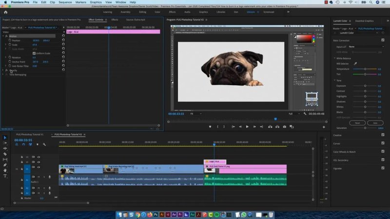 Premiere Pro workspace showing the trimmed watermark graphic positioned on video track V2 over the sequence outro.