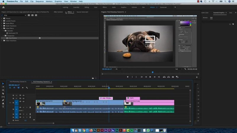 Premiere Pro Effects panel searching for 