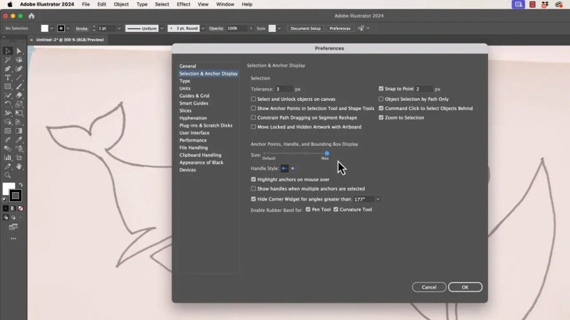 Adobe Illustrator Preferences dialog box on the Selection and Anchor Display tab, showing adjustments for anchor point size, handle style, and enabling the Pen Tool rubber band feature.