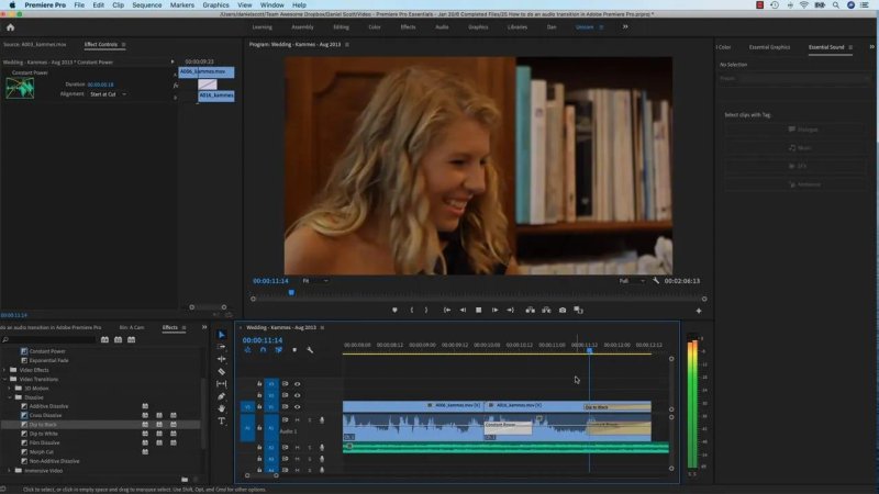 Premiere Pro Effect Controls panel configuring the 