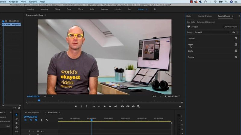 Premiere Pro Essential Sound panel showing the Repair section options for a selected dialogue audio clip on the timeline.