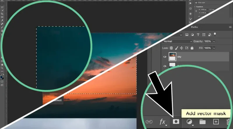 Green circles separated by a diagonal, white line