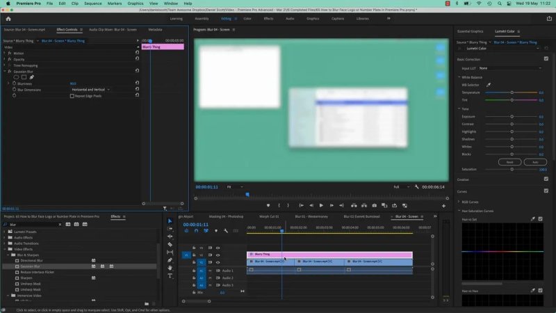 Premiere Pro editing workspace showing an adjustment clip titled Blurry Thing on timeline track V2, heavily blurring a green-and-white browser mockup in the Program Monitor.