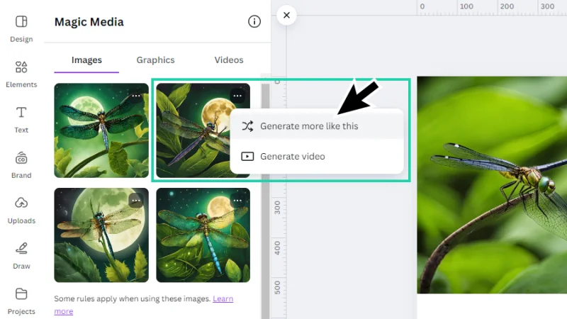 generate more like this command highlighted over ai dragonfly image thumbnail in canva