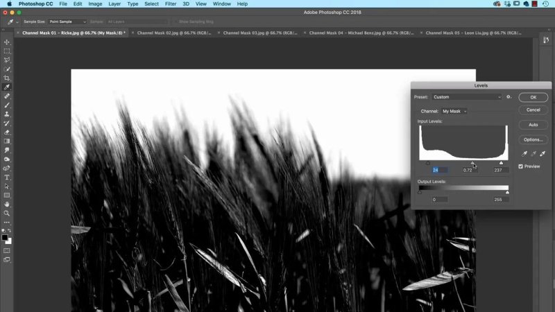 Photoshop workspace with a Levels adjustment dialog open over a high-contrast black-and-white silhouette of grass blades, adjusting input shadow, midtone, and highlight sliders.