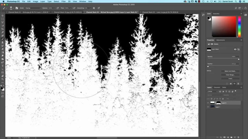Close-up black-and-white view of tree branches in Photoshop, showing a large circular brush cursor painting over foliage edges to refine the black-and-white alpha mask.