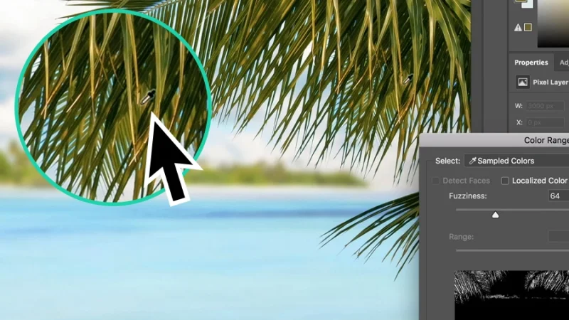 using the eyedropper to select a color sample from palm leaves in adobe photoshop