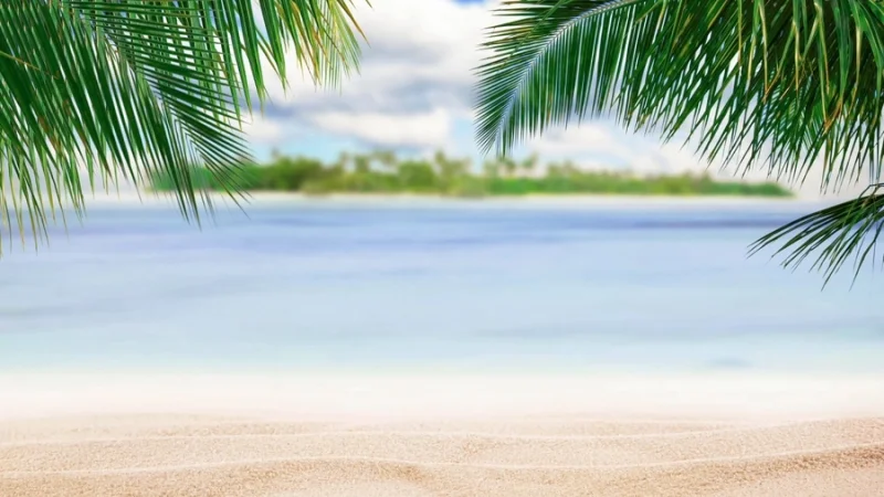 image of beach landscape in adobe photoshop
