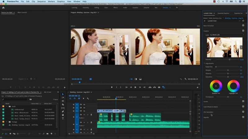 Premiere Pro Program Monitor showing a side-by-side 