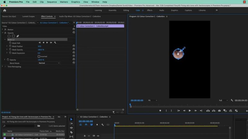 Premiere Pro workspace showing the Program Monitor with the rest of the frame masked out in black, leaving only a circular cropped selection of the subject's cheek and skin tone visible.