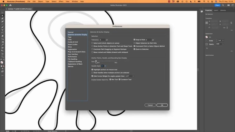 Adobe Illustrator Preferences dialog box open to the Selection and Anchor Display tab, showing how to scale anchor point sizes and verify tool preview settings before drawing complex paths.