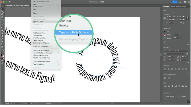 Screenshot of Type on a Path Options.