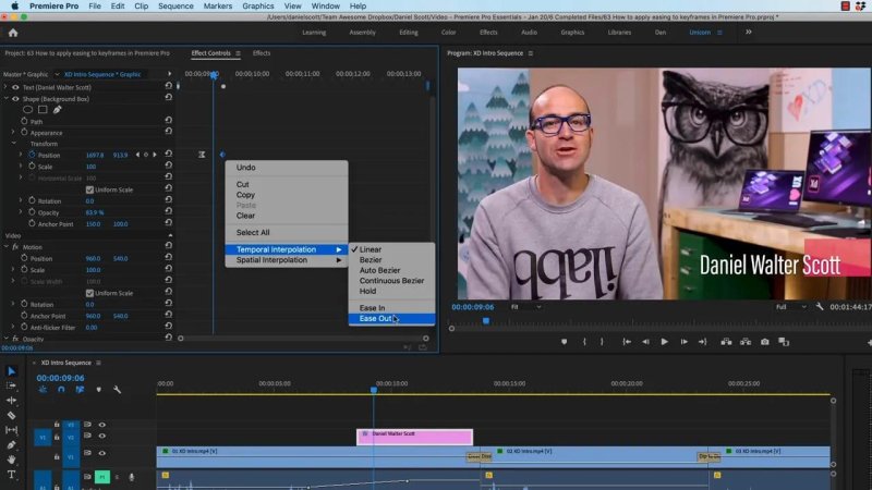 Premiere Pro timeline and Effect Controls panel applying 