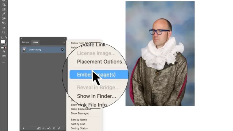 Embed image option highlighted in a settings panel in Illustrator