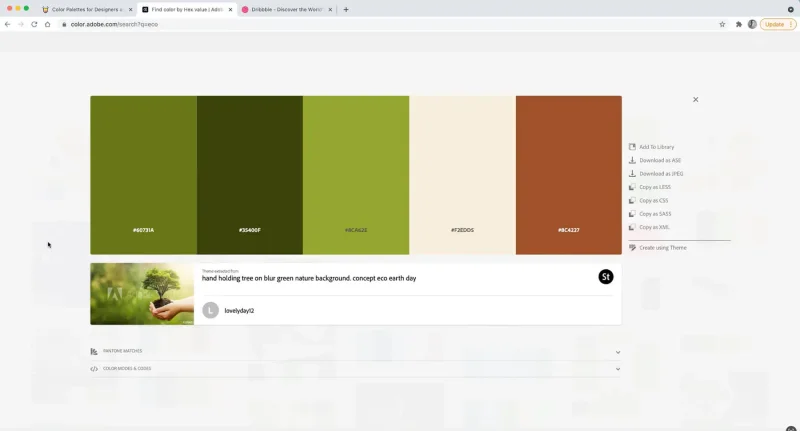 Screenshot of nature tones color palette in adobe color