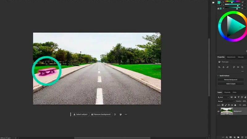 A photo of a two lane road with a bench circled in adobe photoshop