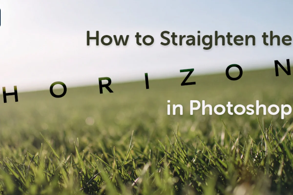 image of a grassy landscape introducing how to straighten the horizon in photoshop