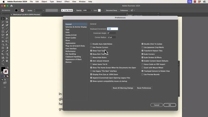The Illustrator Preferences dialog window open to the General settings tab, displaying options such as Keyboard Increment, Constrain Angle, and Corner Radius.