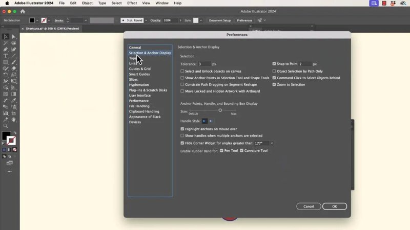 The Illustrator Preferences dialog window showing the 