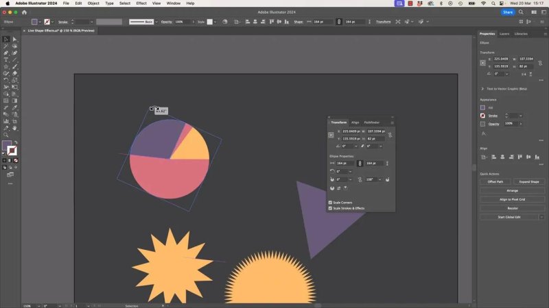 Adobe Illustrator workspace showing a segmented pie chart graphic being rotated dynamically with the Selection tool, displaying a rotation tracking tooltip of -65.62 degrees.