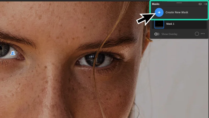 create a new mask button highlighted inside the masks panel in lightroom