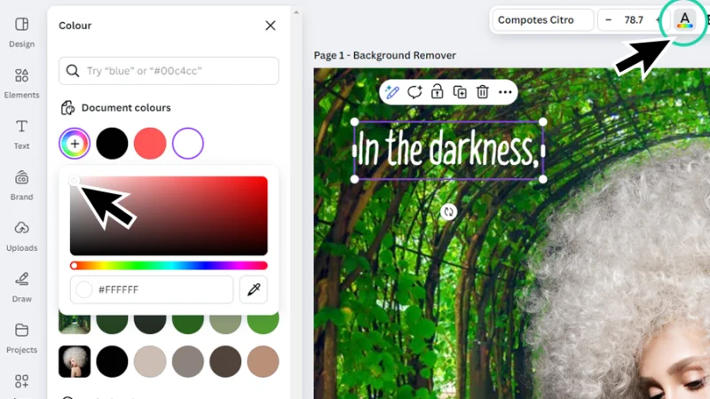 editing text color fill using the color picker tool in canva