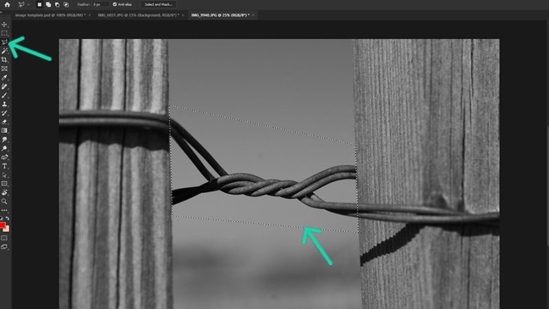 We can make a first selection with the Polygonal Lasso tool.