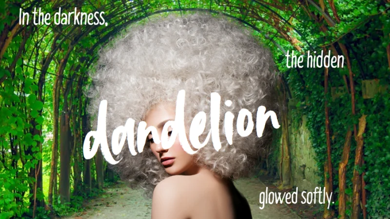 text objects and background and foreground images combined in canva