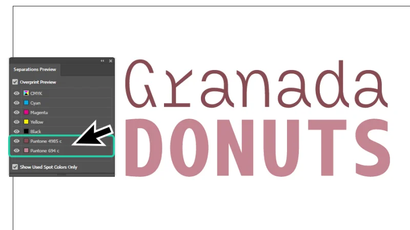 customized pantone spot colors applied to wordmark logo in Illustrator