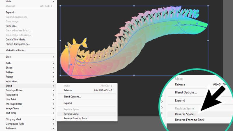 reverse spine command magnified in adobe illustrator