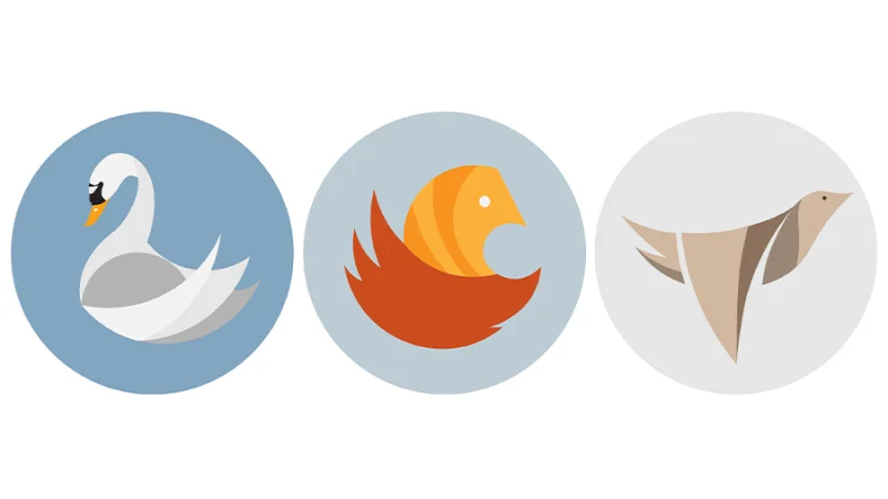 Three designs Ban created in Illustrator Essentials Course at BYOL