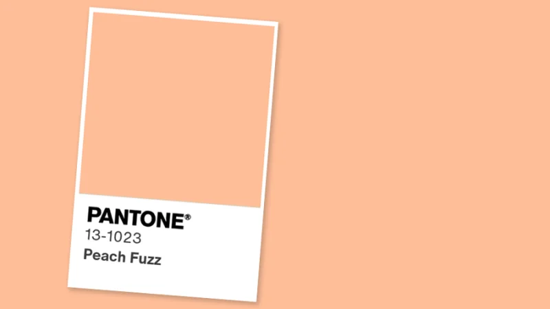 pantone peach fuzz color of the year graphic representation