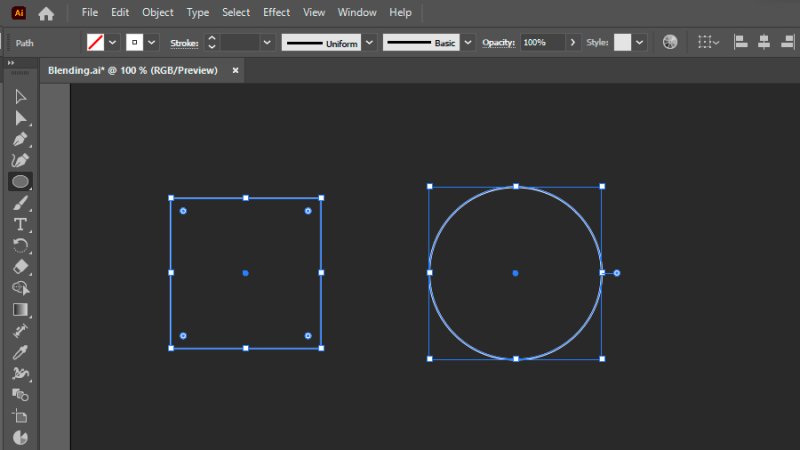 rectangle and circle shapes selected in adobe illustrator