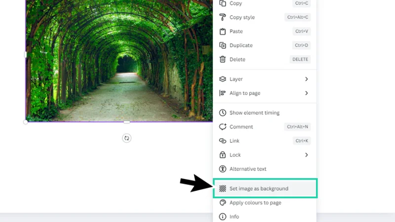 set image as background command highlighted in canva