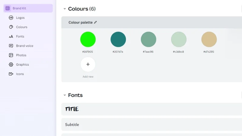 brand kit features and color and font samples displayed in canva