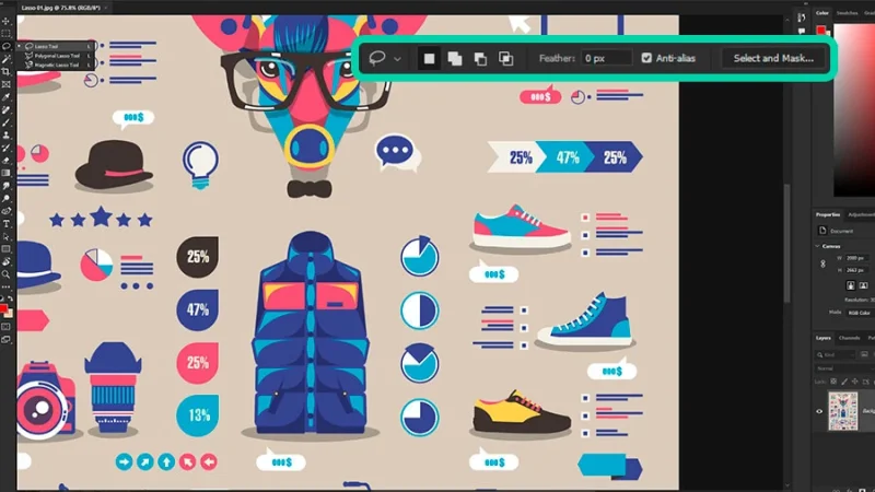 highlighted tool options bar for the lasso tool in adobe photoshop