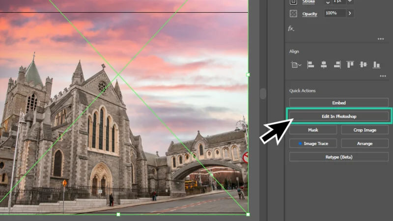 in illustrator