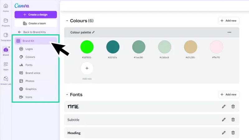 brand kit feature interface showing color palette and font styles in canva