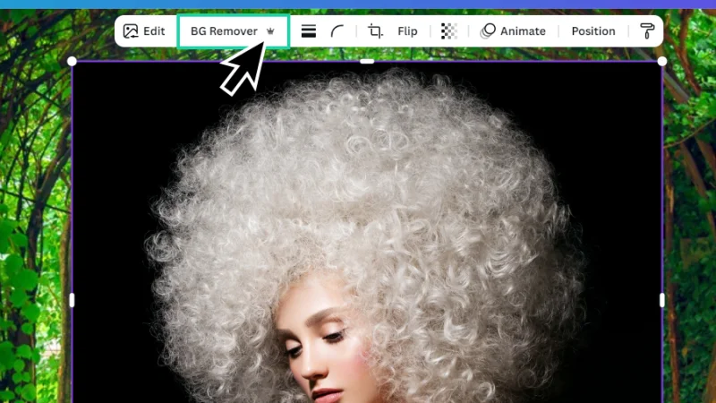 background remover pro version crown icon displayed in toolbar in canva