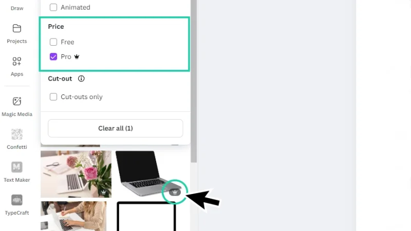 pro features highlighted in the search filter options and element thumbnails in canva