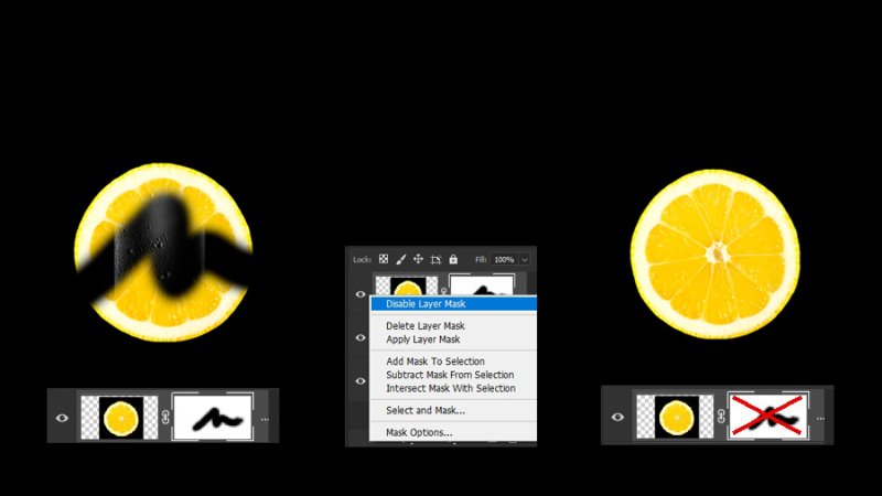 If you disable a Layer Mask the original image is shown unchanged.