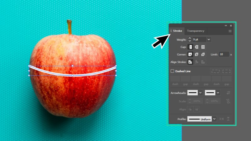 stroke customization settings highlighted in the stroke panel in illustrator