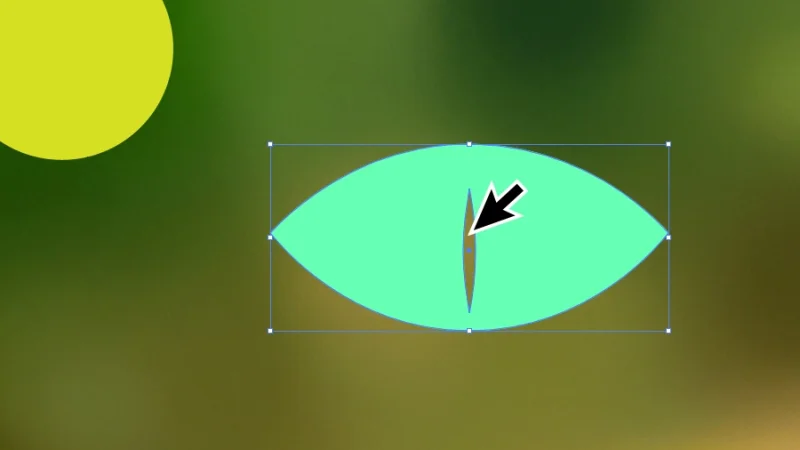 compound path cuts an iris-shaped hole in a vector eye object in illustrator